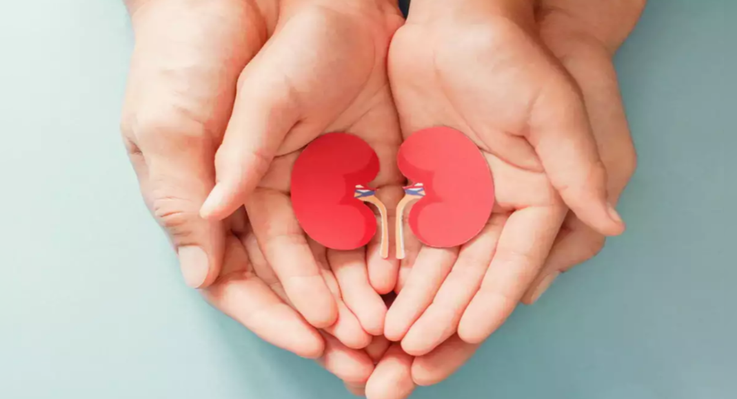 Two kidney swaps saved four lives at the Bengaluru Hospital