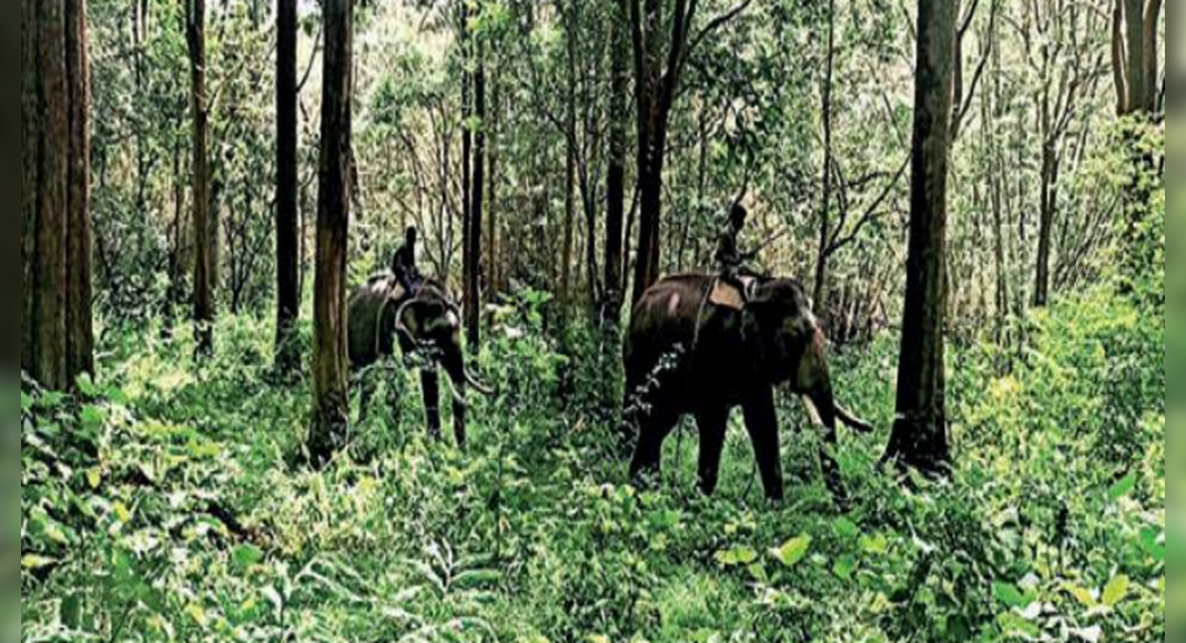 Six Elephant Kumki was deployed to monitor the recalcitrant Movement of Vinmission Tusker