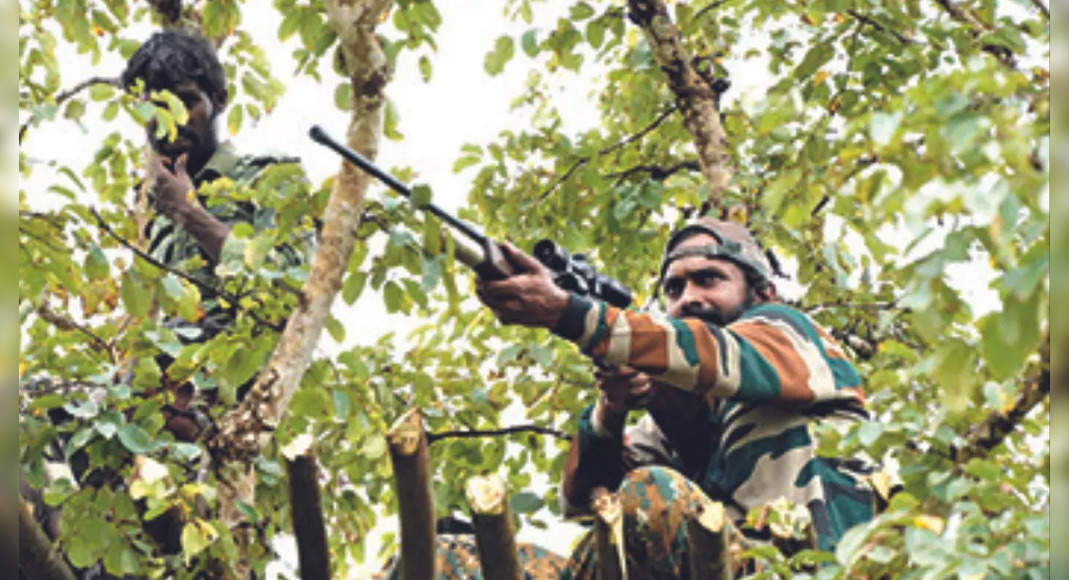 TN: Strategy changes; Tigers are still hiding in Mudumalai Tiger Reserve