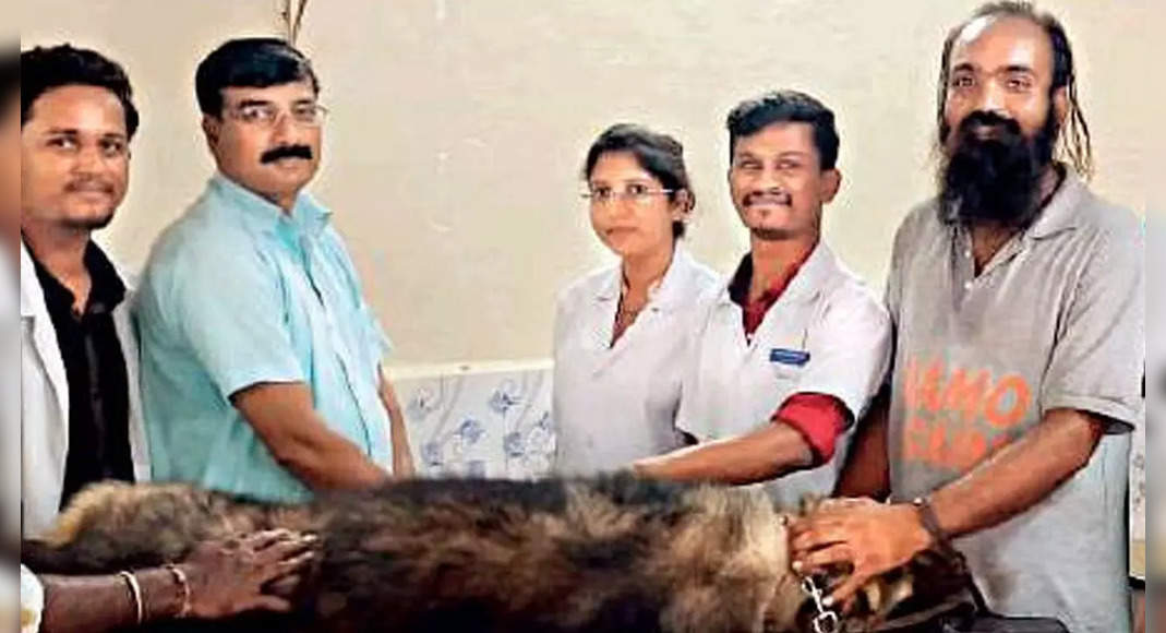 K'Taka: When Charlie donated blood to save diesel puppies