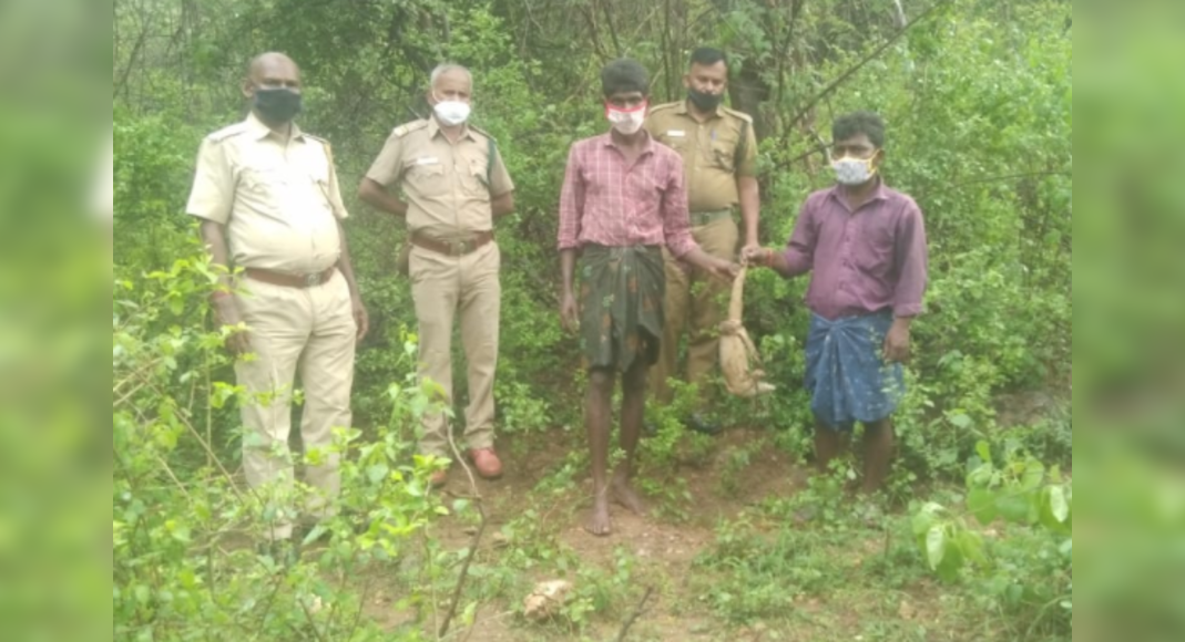 Two men were arrested for monitor lizard hunting near Coimbatore