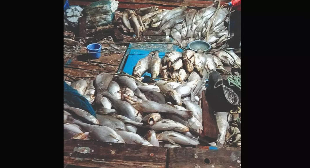 Guj Fisherman hit the jackpot with a catch worth RS 2CR