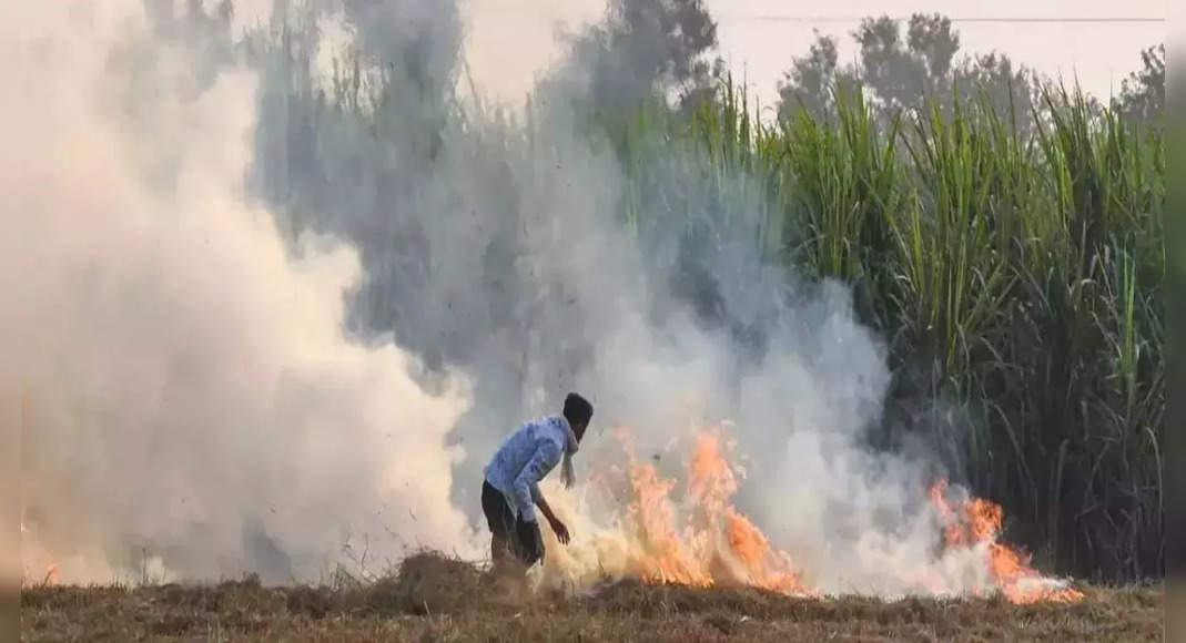 The report showed a significant decrease in burning mounts