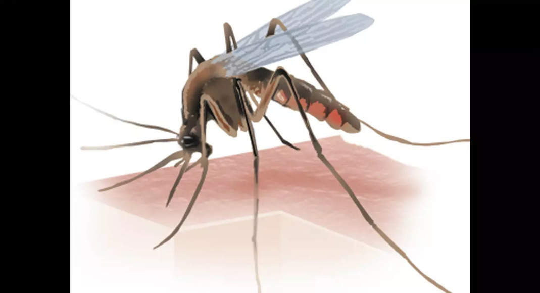 Dengue case under the radar in the Madurai district