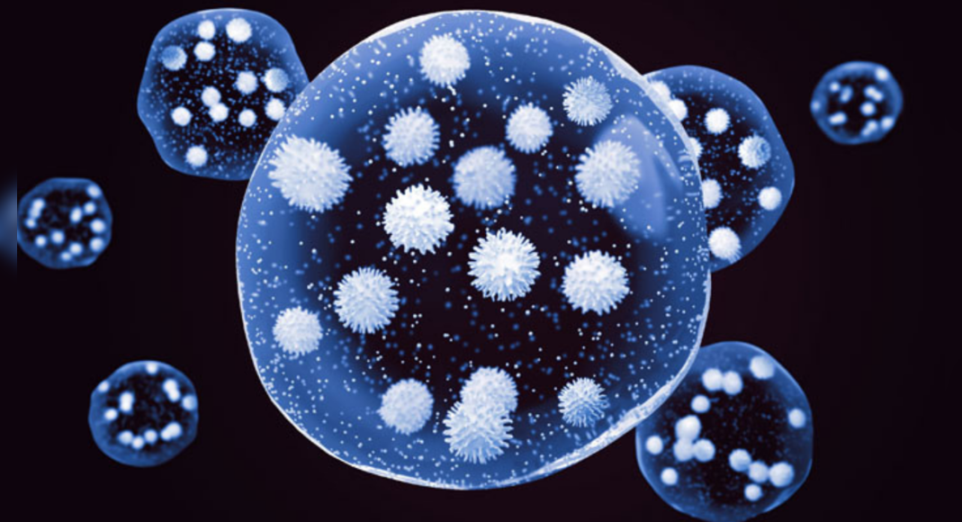 Covid: HYD Homps saw an increase in breakthrough infections