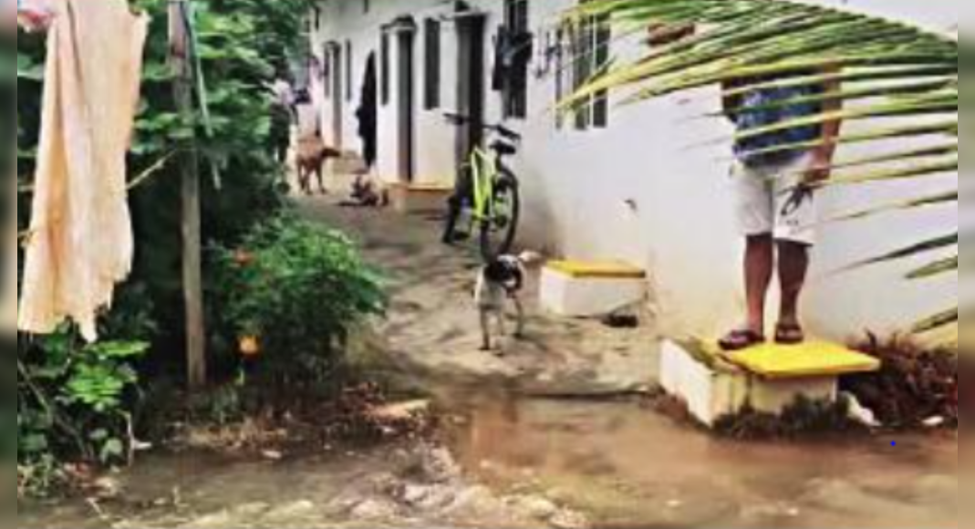 Rain plays spoilsport on the festival day in Bengaluru