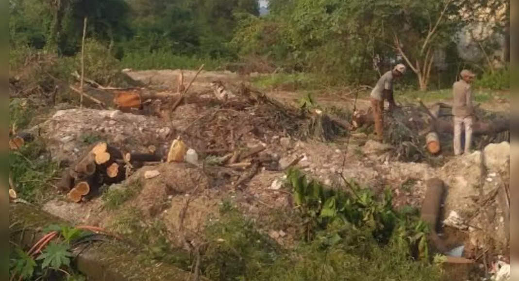 Green Tree Massacre in MIDC Plot: Activist