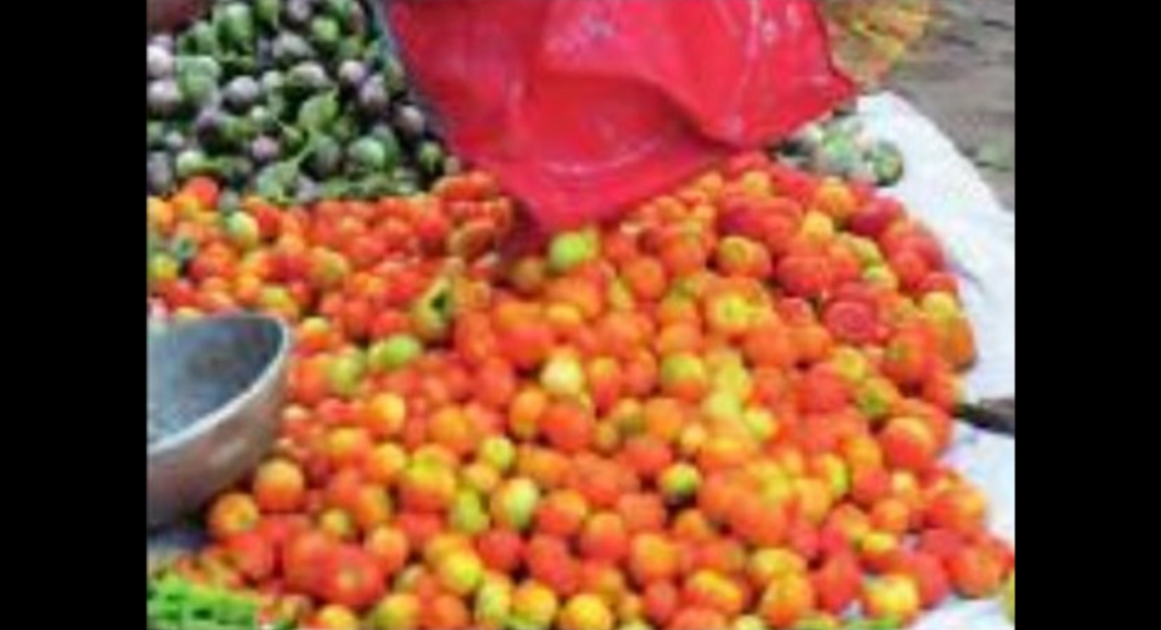 Havoc Rain: Tomato Shoot Prices in Madurai, Trichy