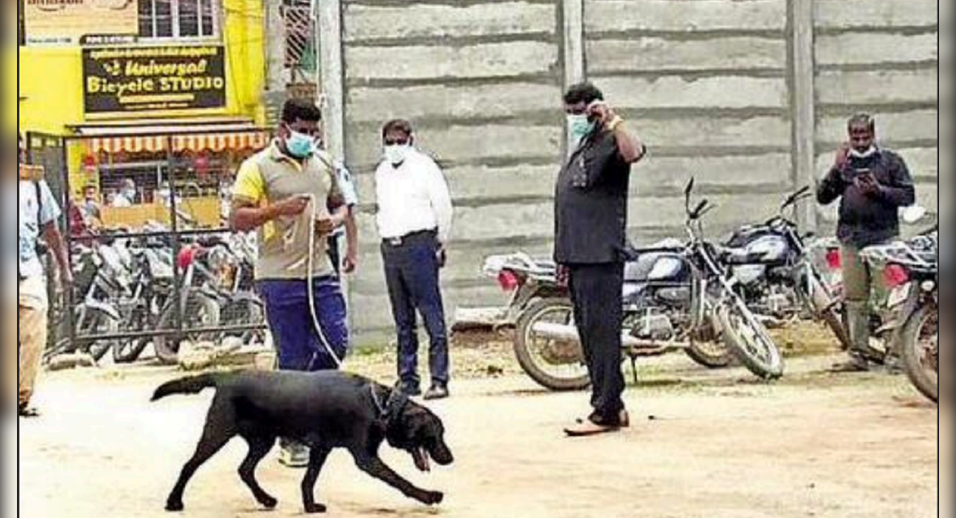 Gang entered TN Store, escaped with 15kg gold